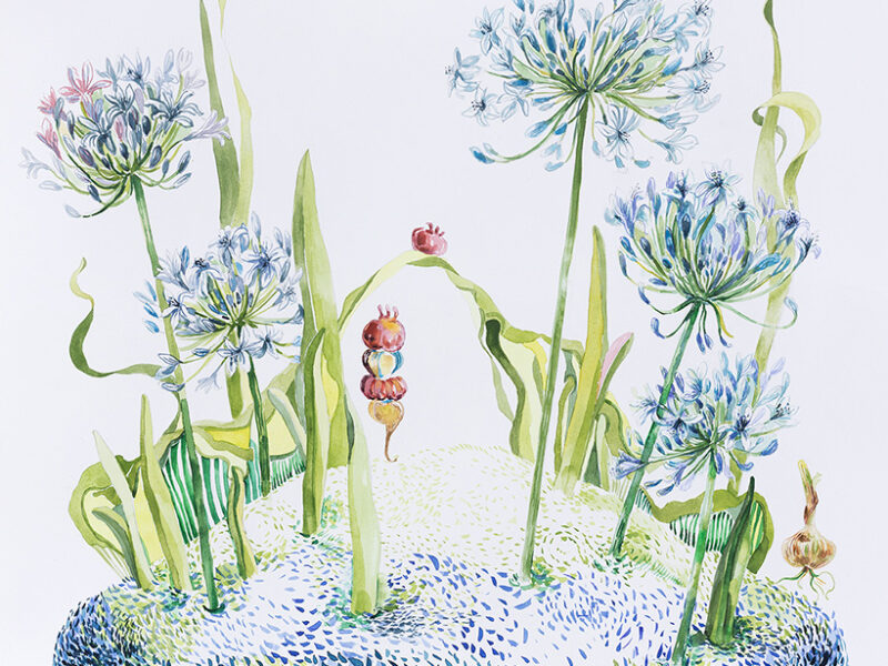 Botaninis atvirukas